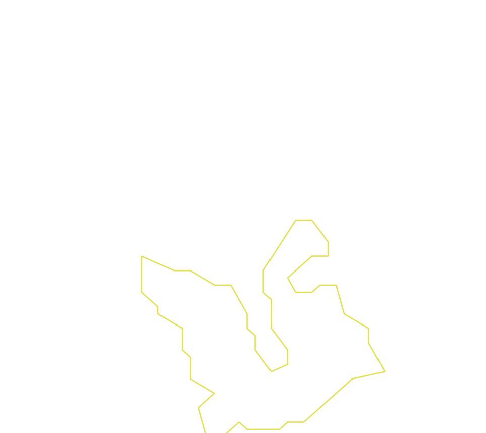 Daksegment ingezoomd met contourlijnen en structuurweergave