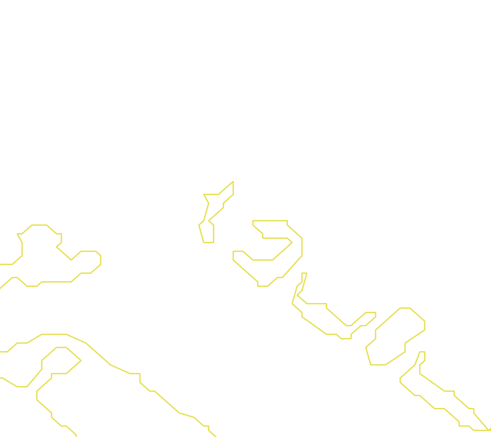 Daksegment met contourlijnen en structuurweergave