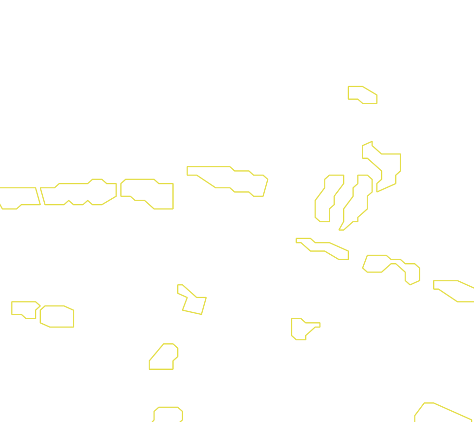 Daksegment met contourlijnen en structuurweergave