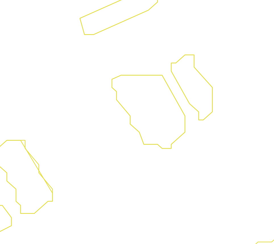 Daksegment ingezoomd met contourlijnen en structuurweergave