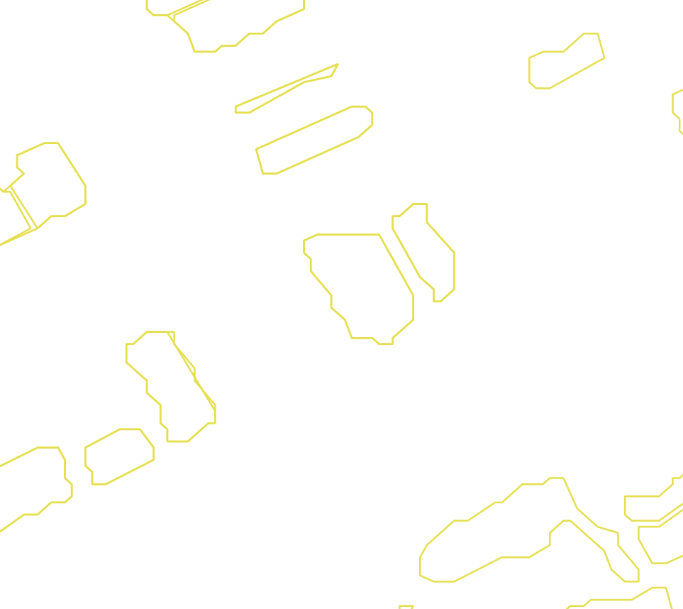 Daksegment met contourlijnen en structuurweergave