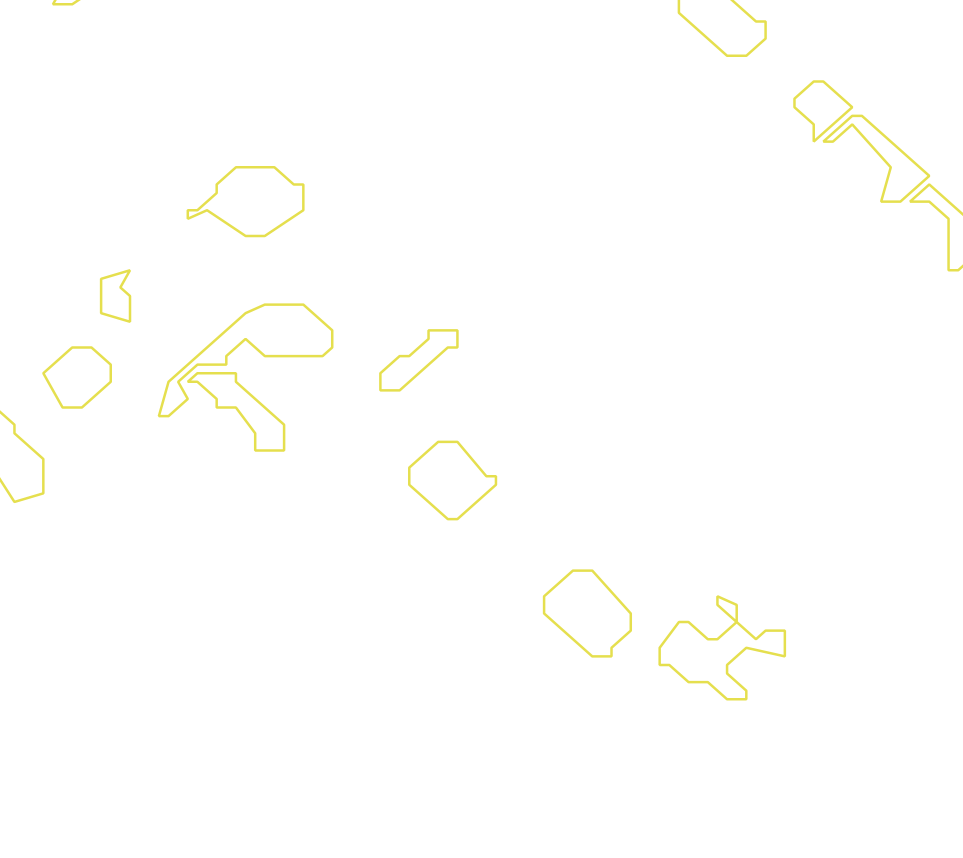 Daksegment met contourlijnen en structuurweergave