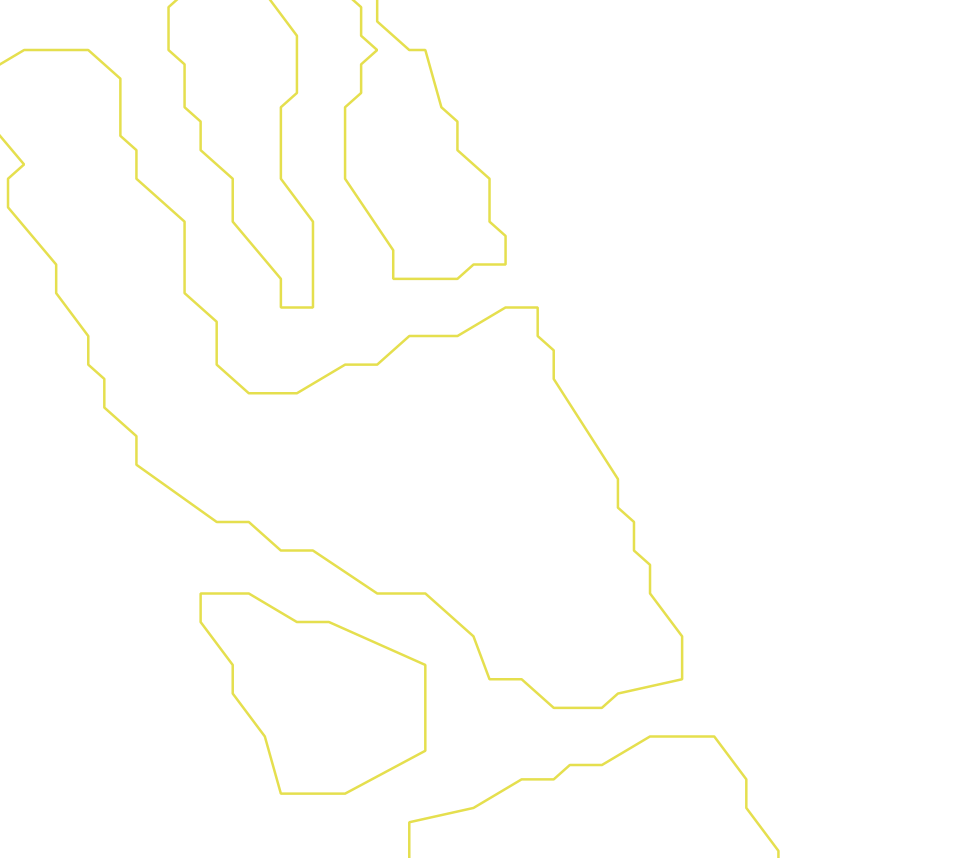 Daksegment ingezoomd met contourlijnen en structuurweergave