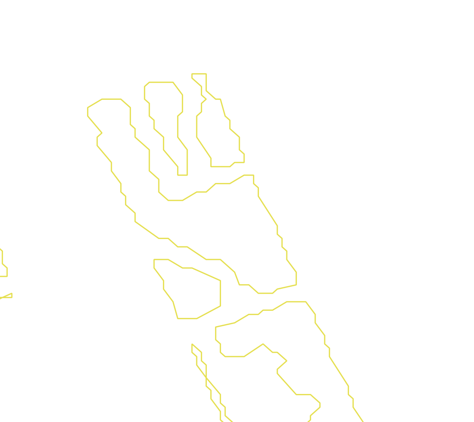 Daksegment met contourlijnen en structuurweergave
