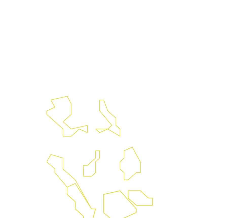 Daksegment ingezoomd met contourlijnen en structuurweergave