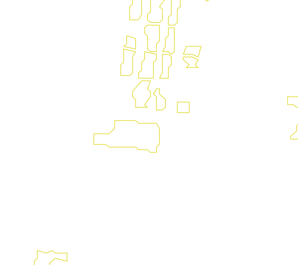 Daksegment met contourlijnen en structuurweergave