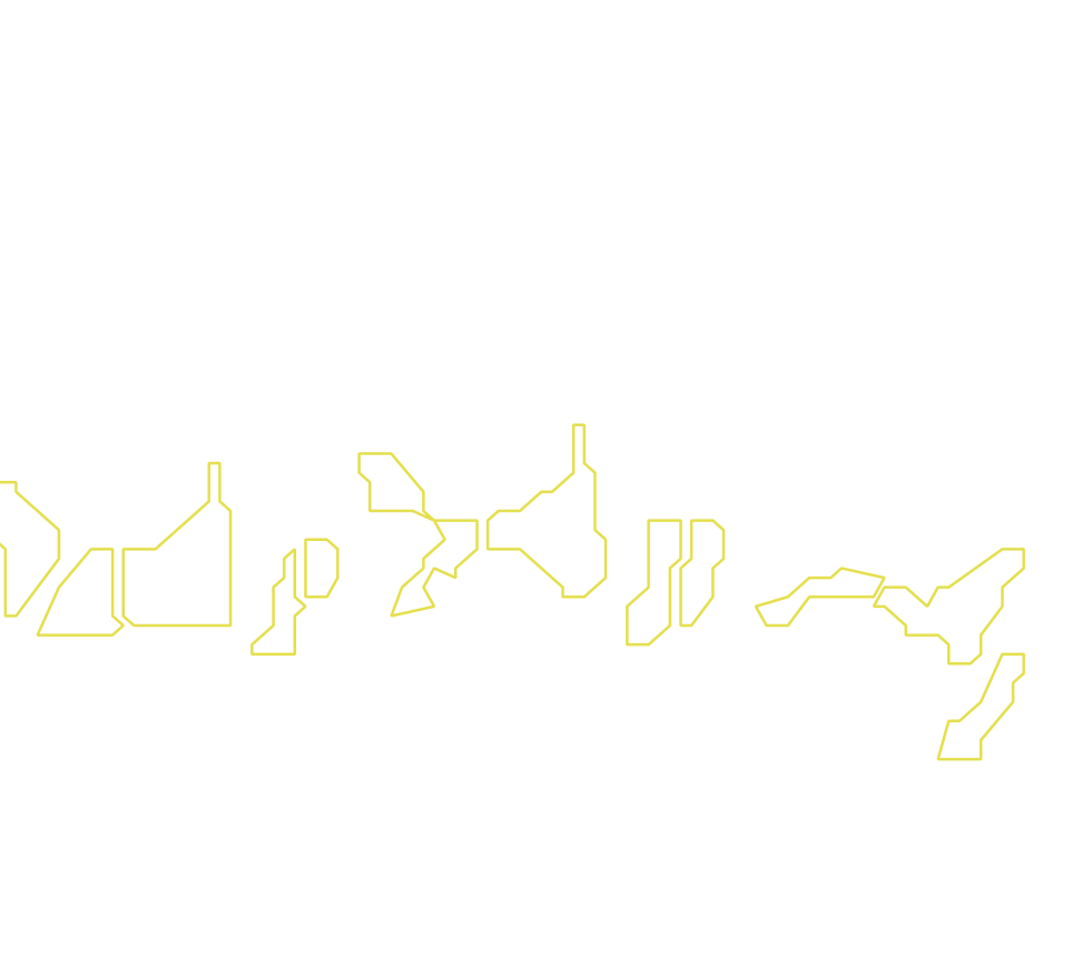 Daksegment met contourlijnen en structuurweergave