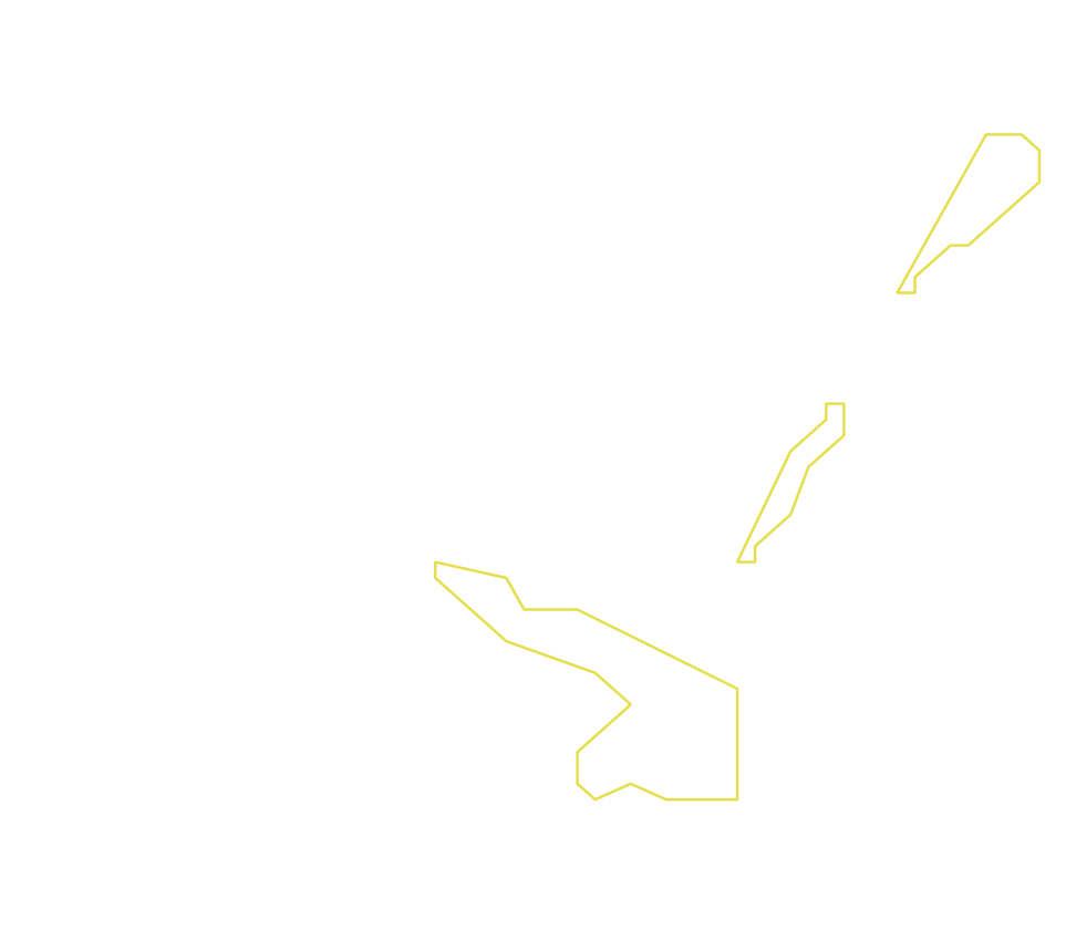 Daksegment ingezoomd met contourlijnen en structuurweergave