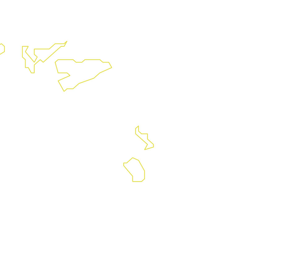 Daksegment met contourlijnen en structuurweergave