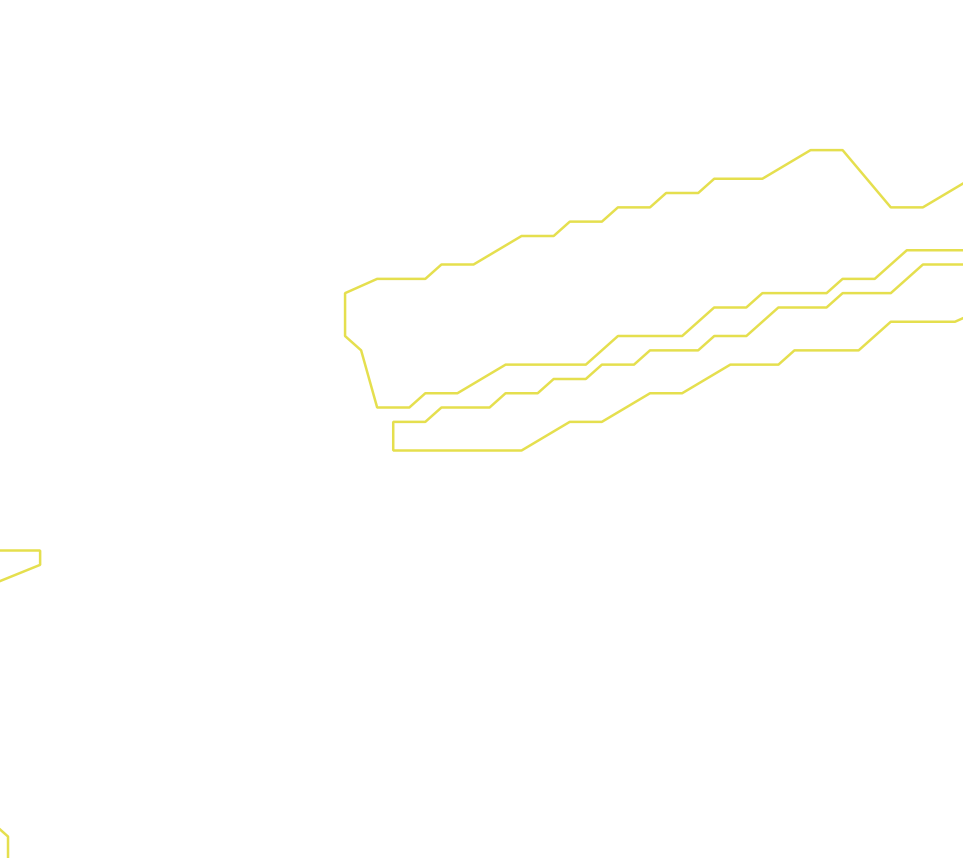 Daksegment ingezoomd met contourlijnen en structuurweergave