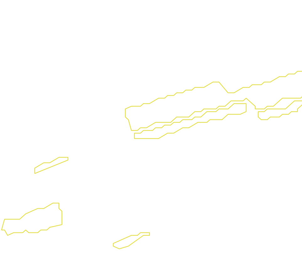Daksegment met contourlijnen en structuurweergave