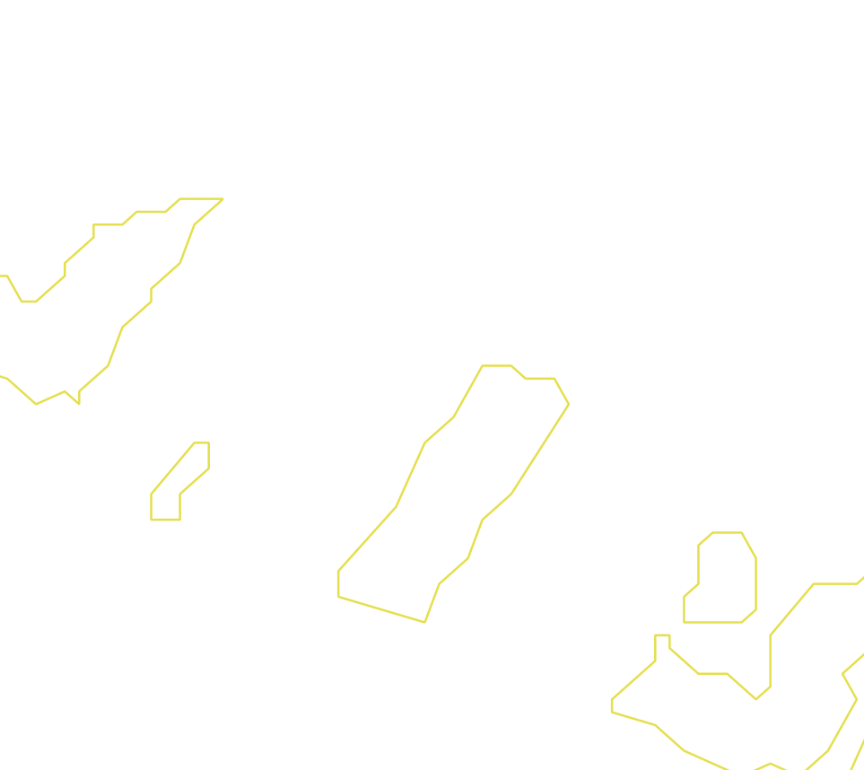 Daksegment ingezoomd met contourlijnen en structuurweergave