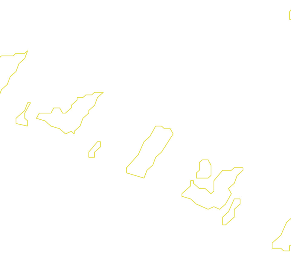 Daksegment met contourlijnen en structuurweergave