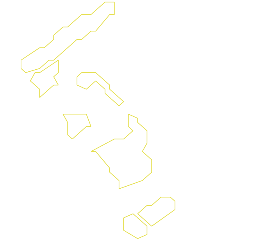Daksegment ingezoomd met contourlijnen en structuurweergave