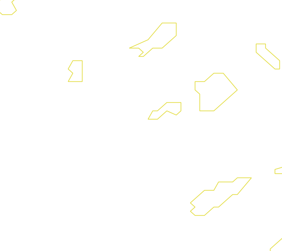 Daksegment ingezoomd met contourlijnen en structuurweergave