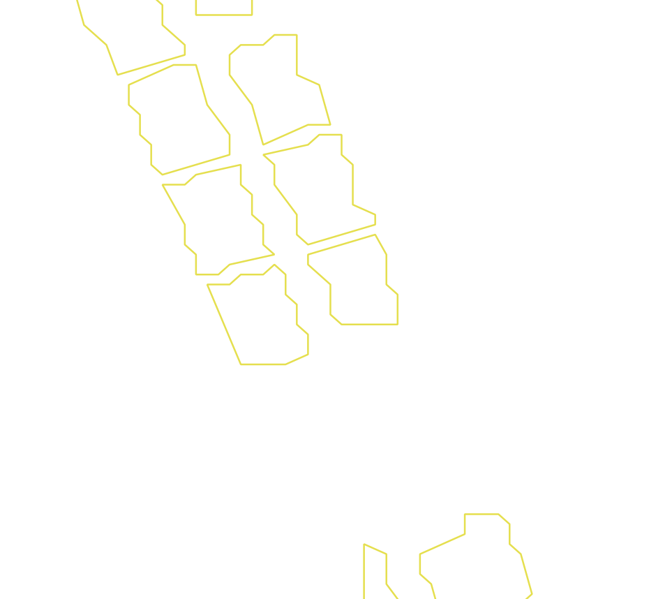 Daksegment ingezoomd met contourlijnen en structuurweergave