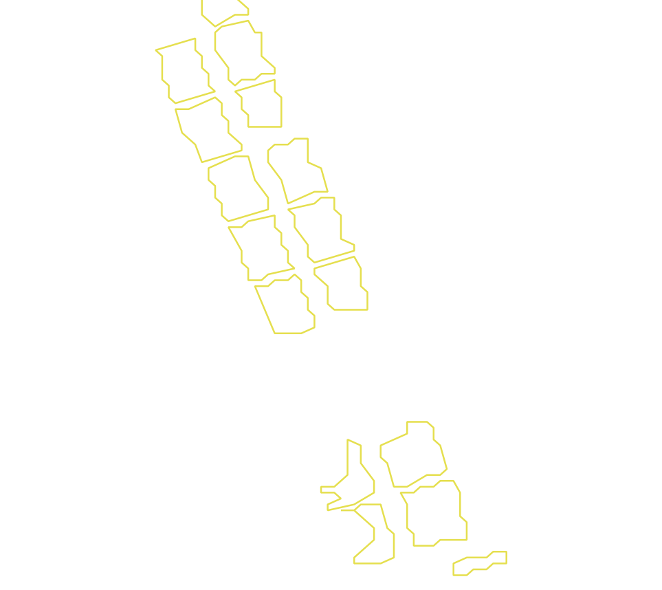 Daksegment met contourlijnen en structuurweergave