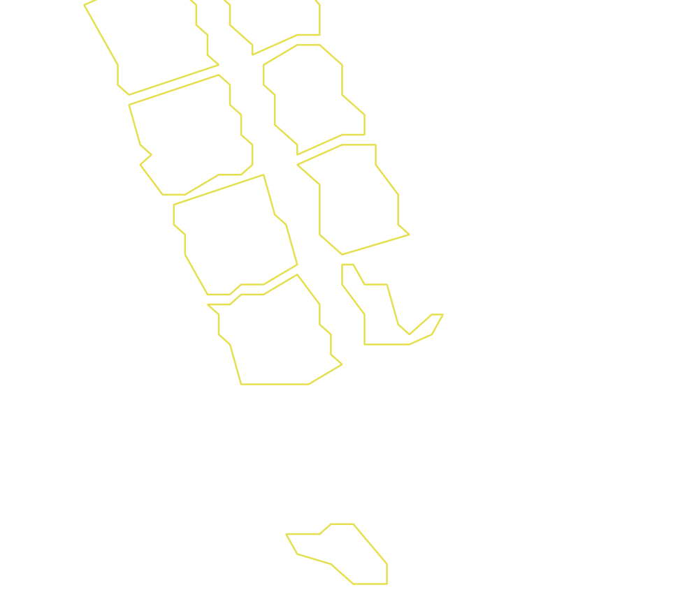 Daksegment ingezoomd met contourlijnen en structuurweergave