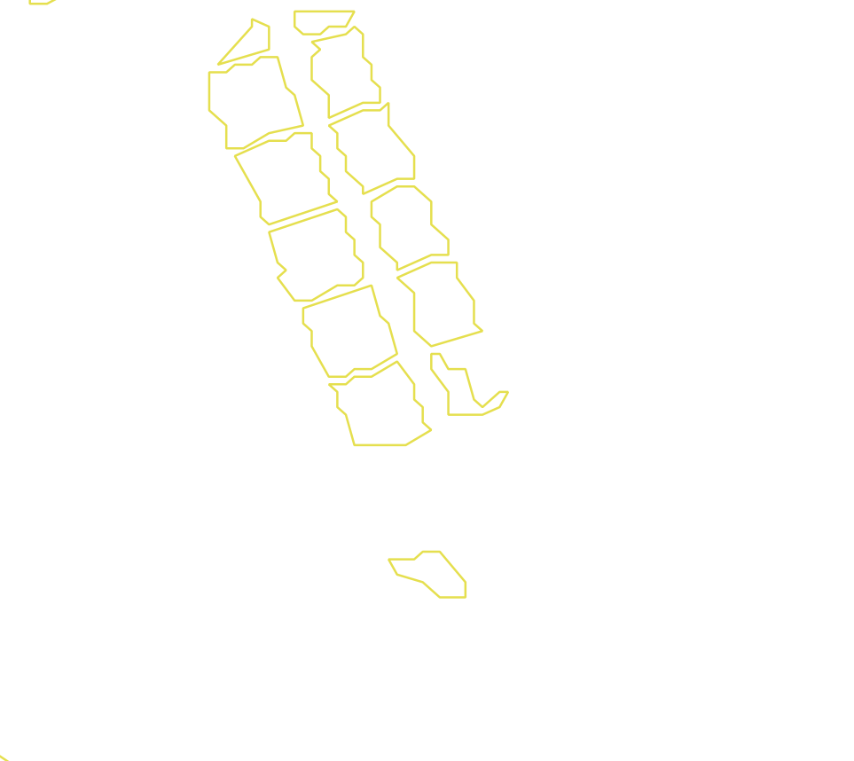 Daksegment met contourlijnen en structuurweergave