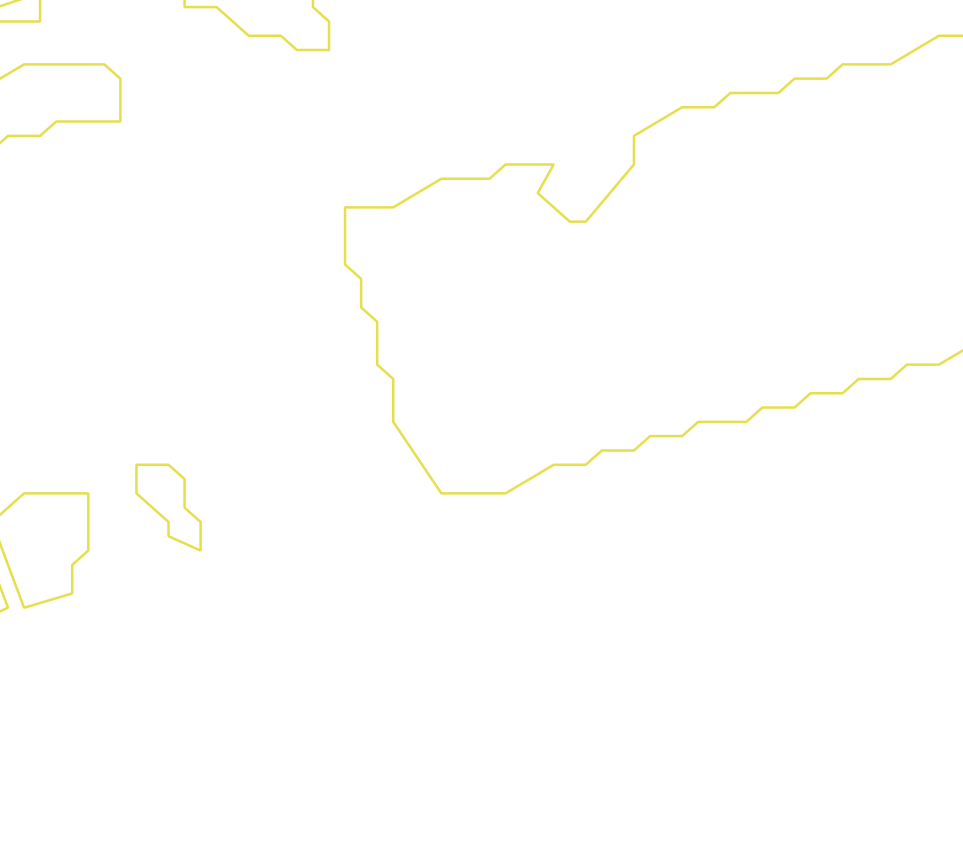 Daksegment ingezoomd met contourlijnen en structuurweergave