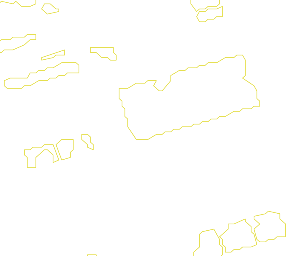 Daksegment met contourlijnen en structuurweergave