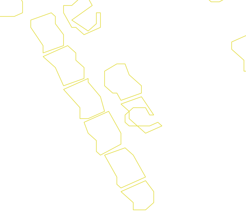 Daksegment ingezoomd met contourlijnen en structuurweergave