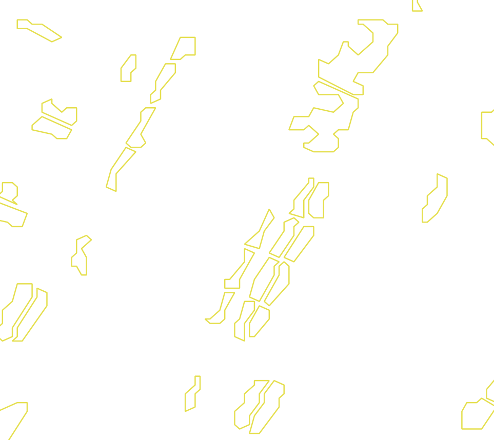 Daksegment met contourlijnen en structuurweergave
