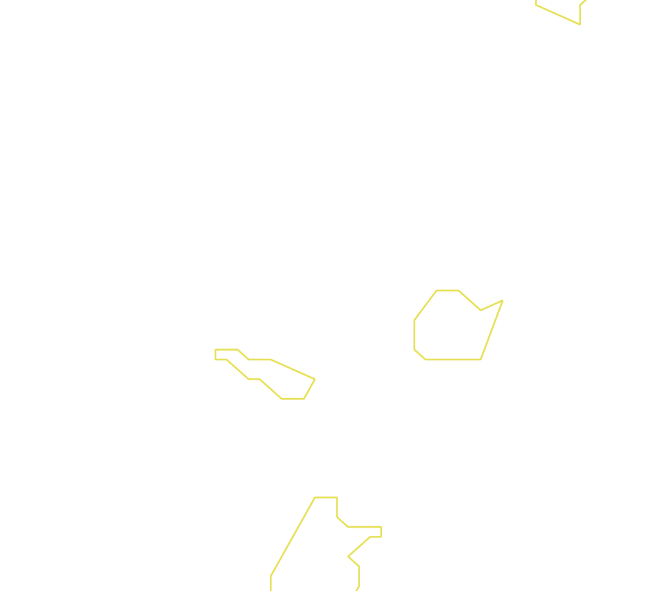 Daksegment ingezoomd met contourlijnen en structuurweergave
