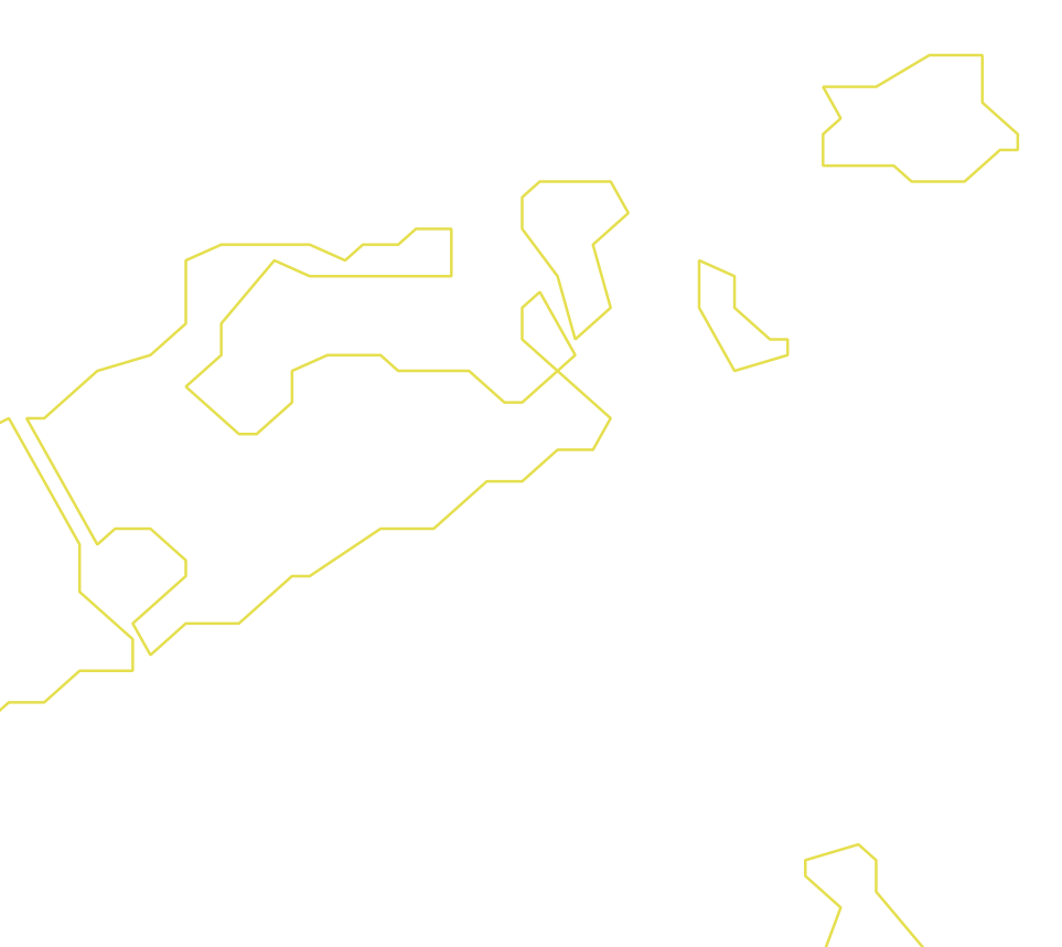 Daksegment ingezoomd met contourlijnen en structuurweergave