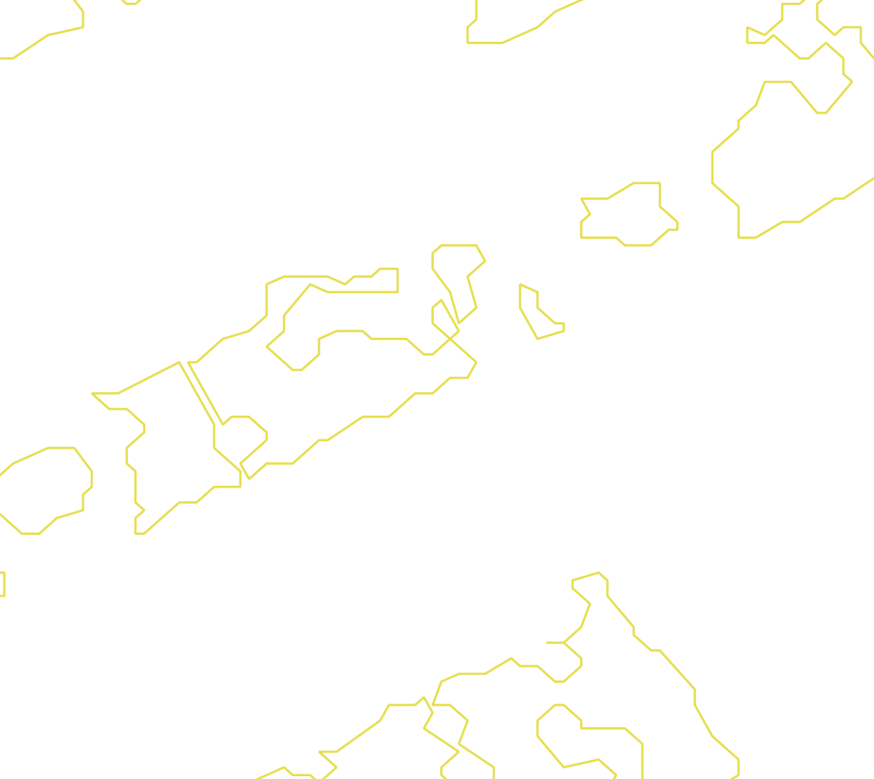 Daksegment met contourlijnen en structuurweergave