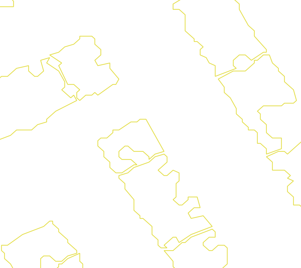 Daksegment met contourlijnen en structuurweergave
