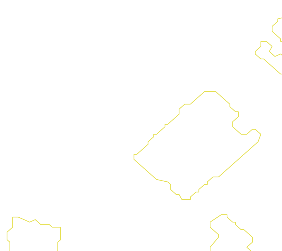 Daksegment met contourlijnen en structuurweergave