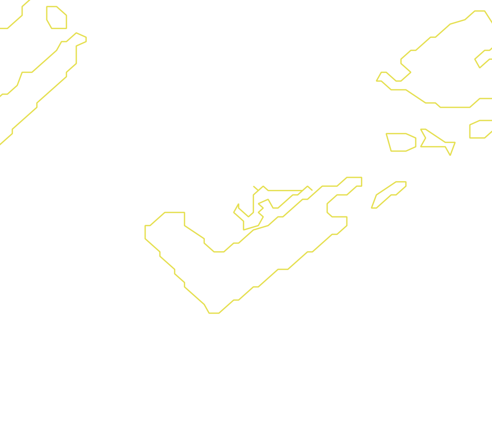 Daksegment met contourlijnen en structuurweergave