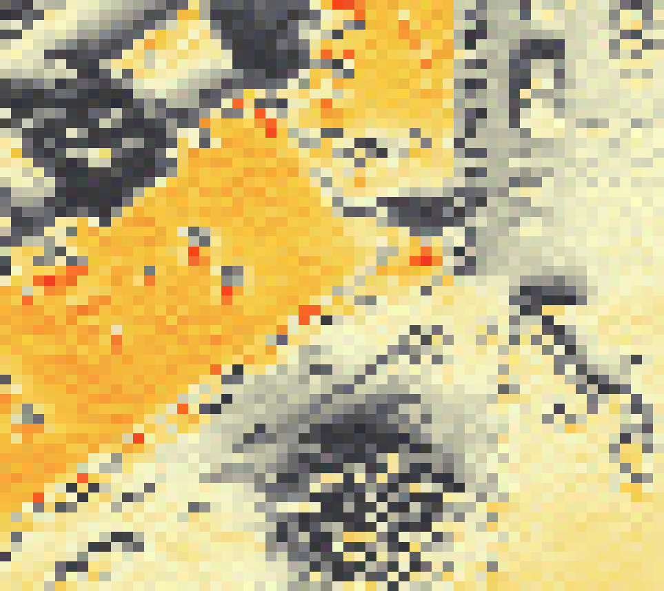 PV-irradiatie op daksegment ingezoomd met intensiteitsverdeling van zonlicht