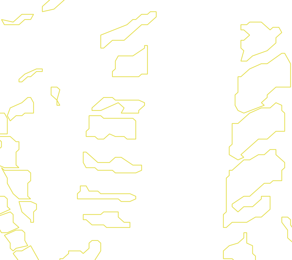 Daksegment met contourlijnen en structuurweergave