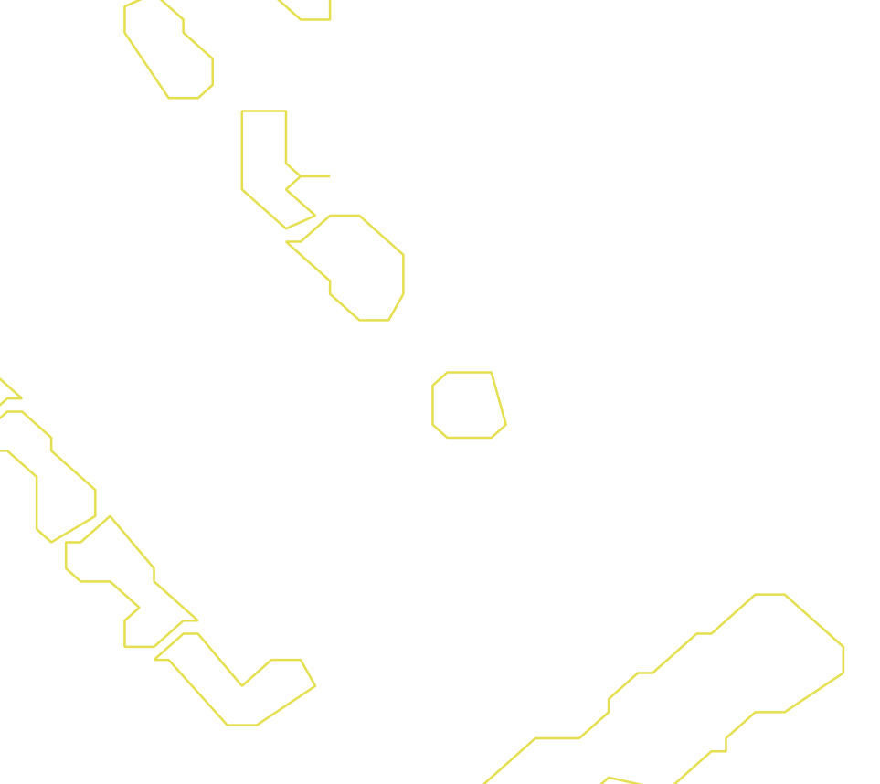 Daksegment ingezoomd met contourlijnen en structuurweergave