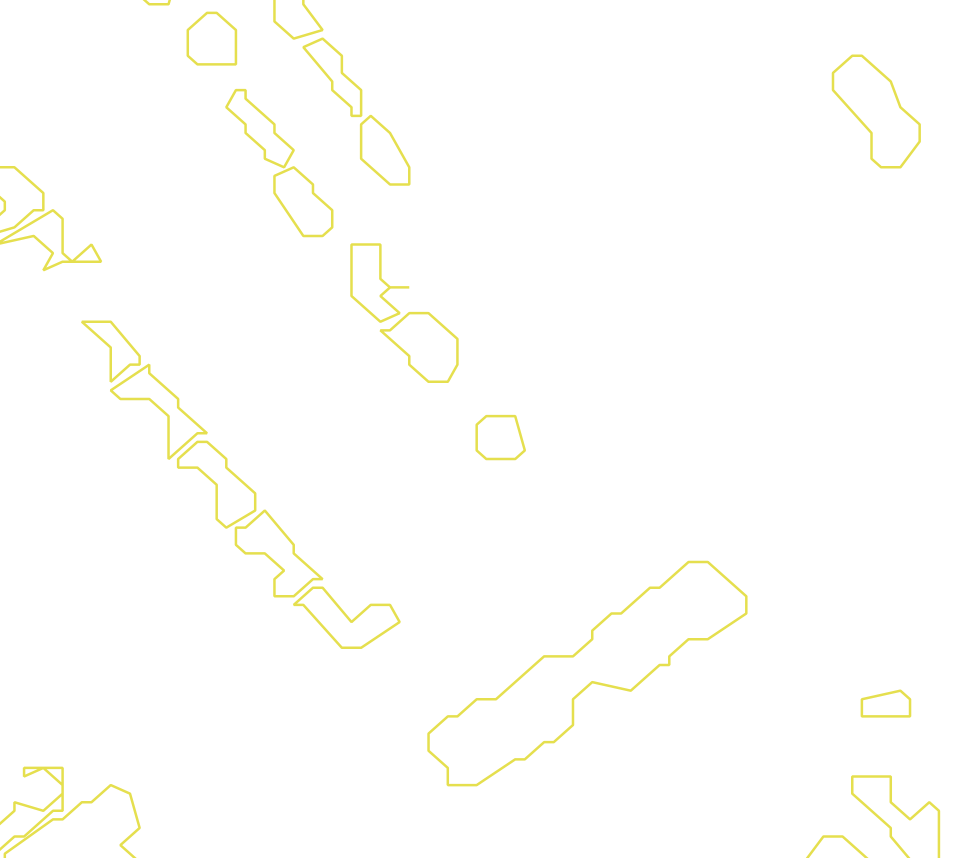 Daksegment met contourlijnen en structuurweergave