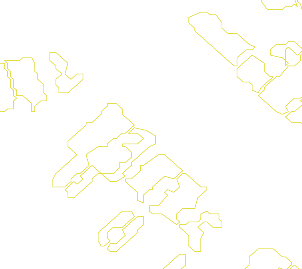 Daksegment met contourlijnen en structuurweergave