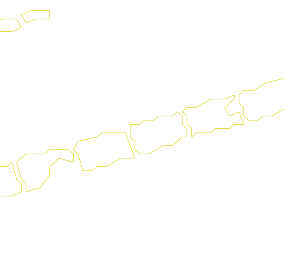 Daksegment ingezoomd met contourlijnen en structuurweergave