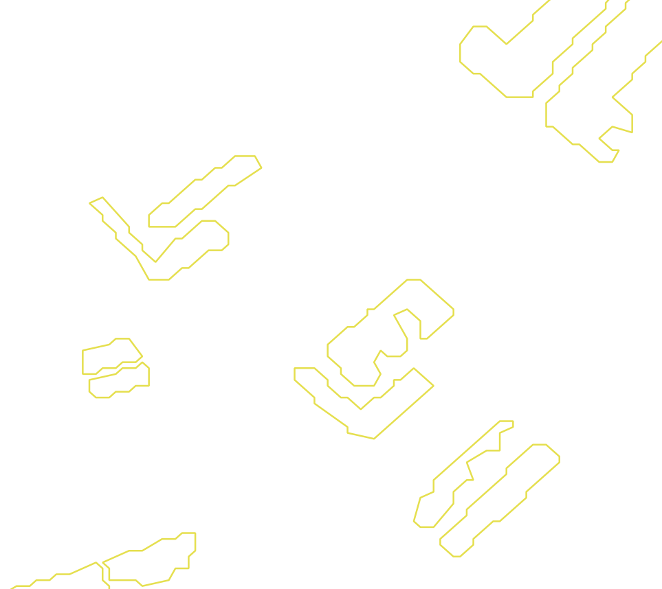 Daksegment met contourlijnen en structuurweergave