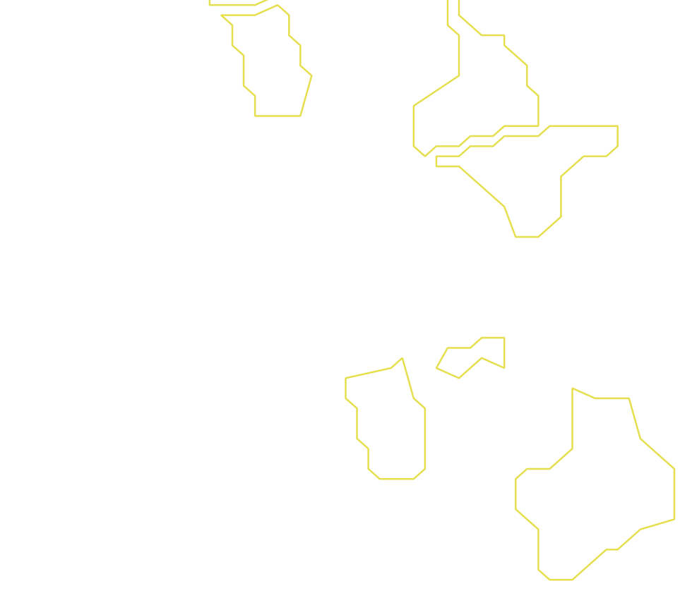 Daksegment ingezoomd met contourlijnen en structuurweergave