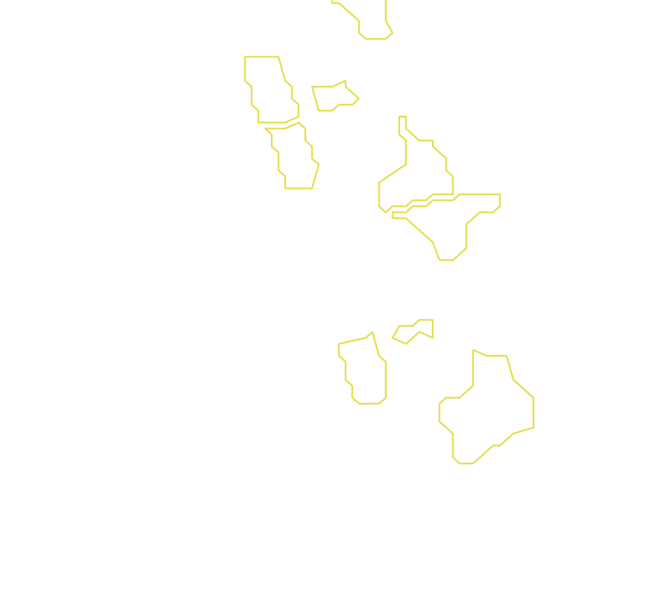 Daksegment met contourlijnen en structuurweergave