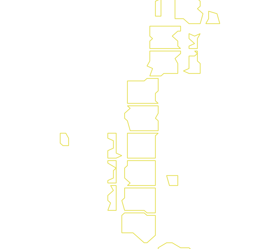 Daksegment met contourlijnen en structuurweergave