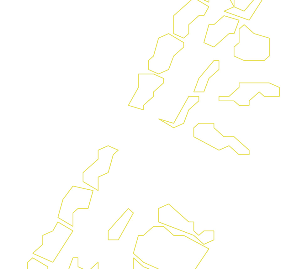 Daksegment ingezoomd met contourlijnen en structuurweergave