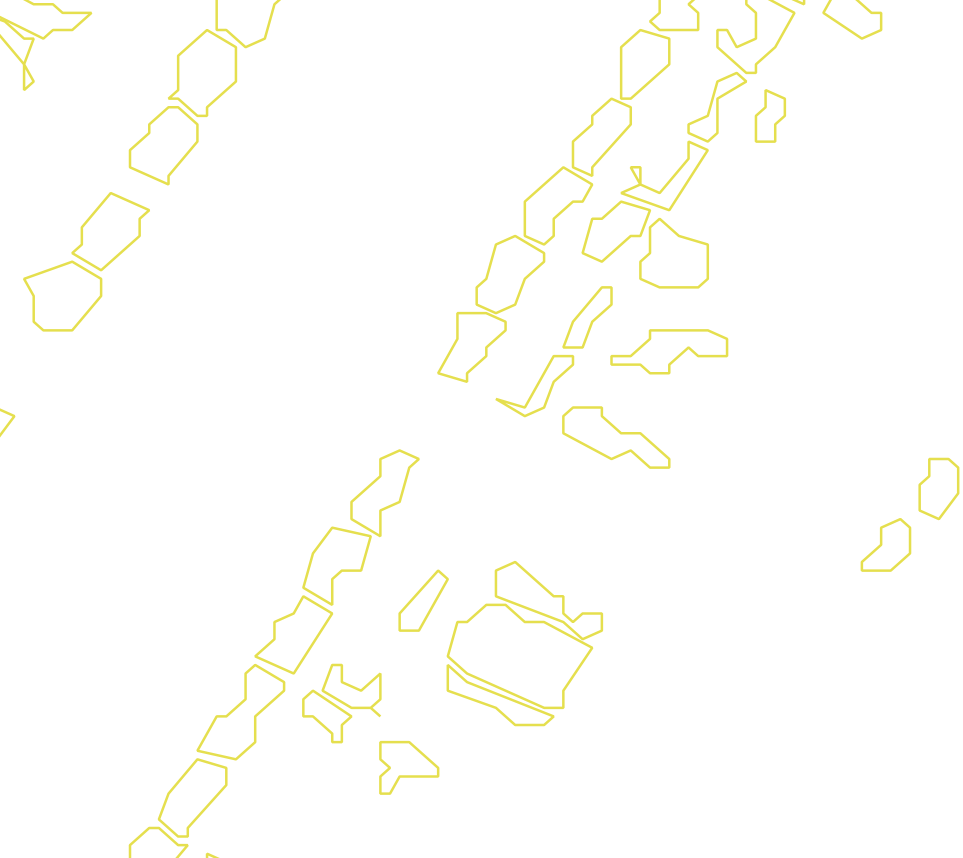 Daksegment met contourlijnen en structuurweergave