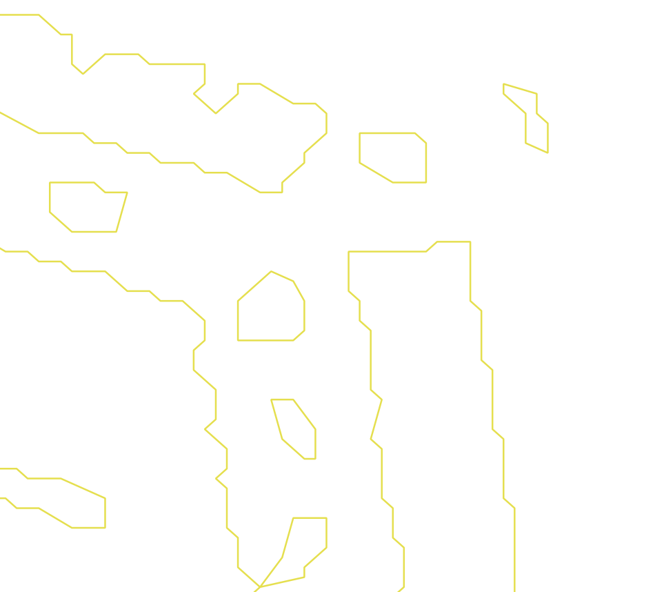 Daksegment ingezoomd met contourlijnen en structuurweergave