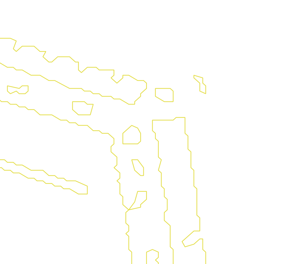 Daksegment met contourlijnen en structuurweergave