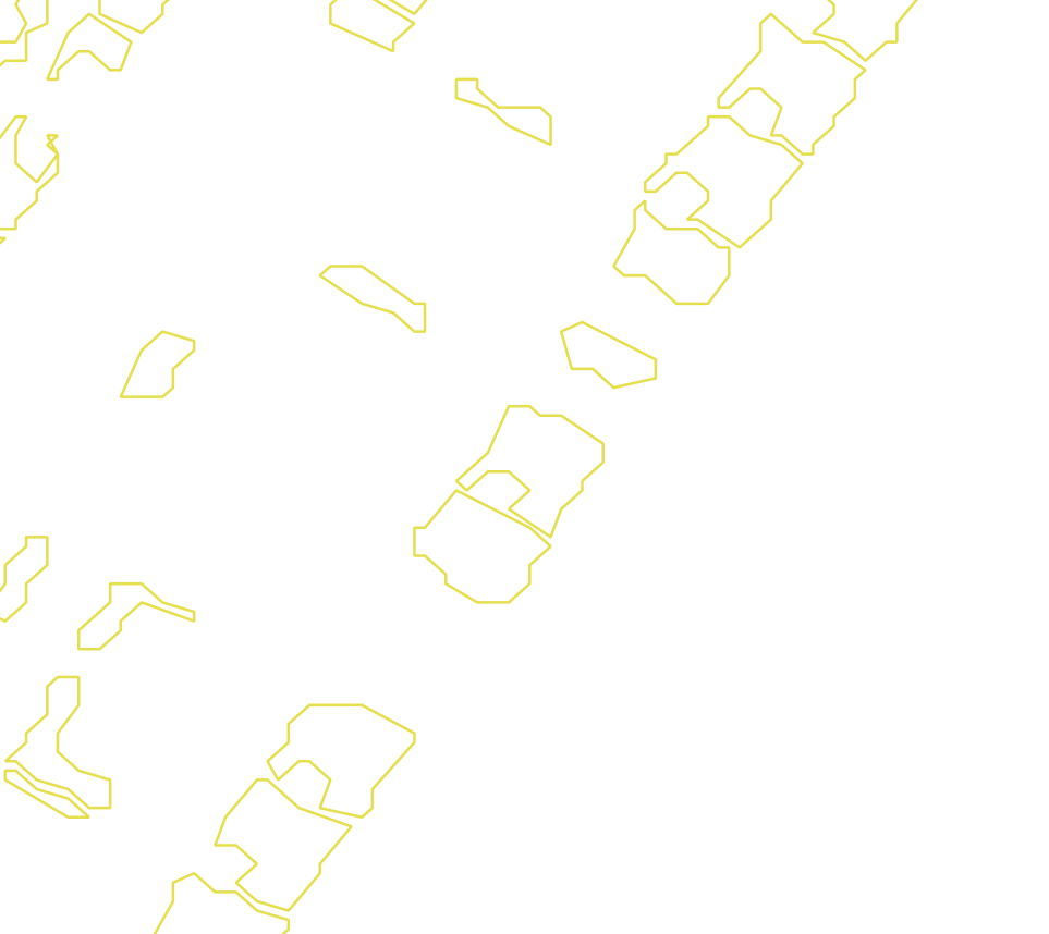 Daksegment met contourlijnen en structuurweergave