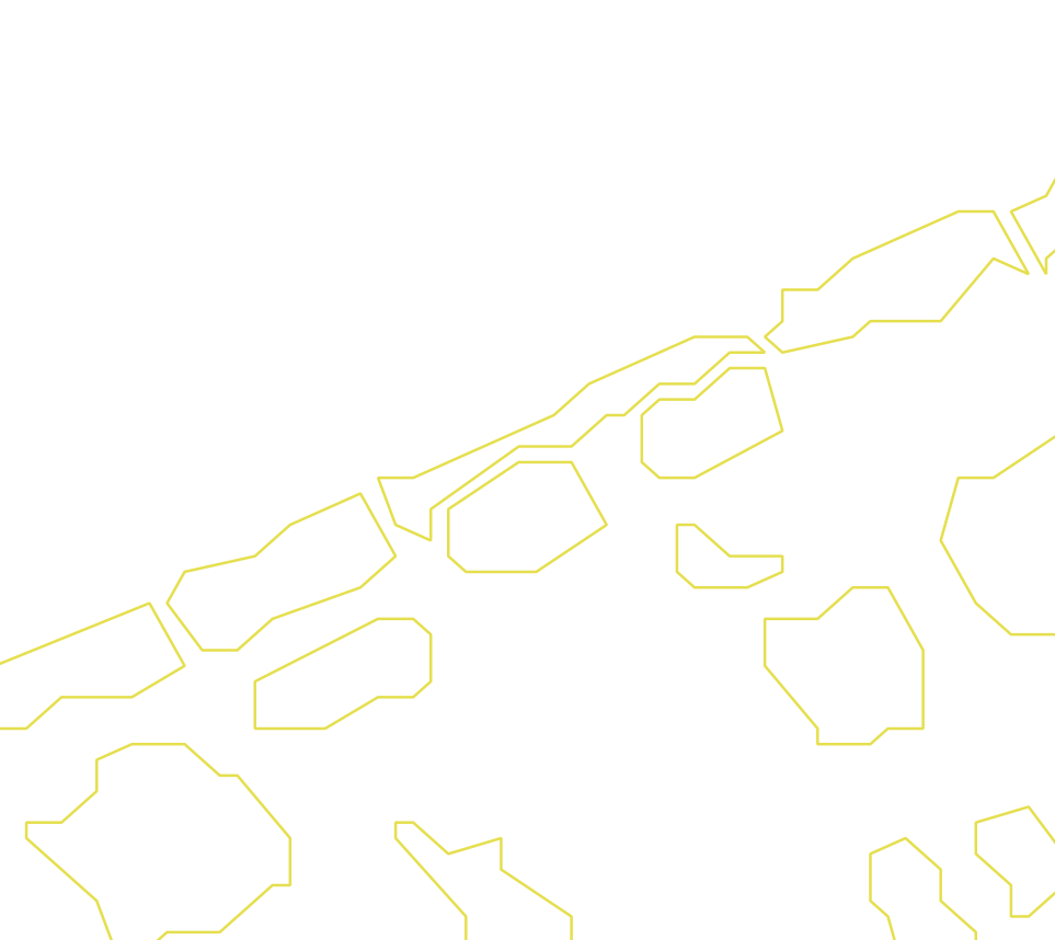 Daksegment ingezoomd met contourlijnen en structuurweergave