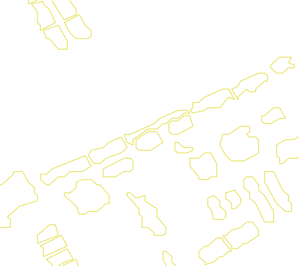 Daksegment met contourlijnen en structuurweergave
